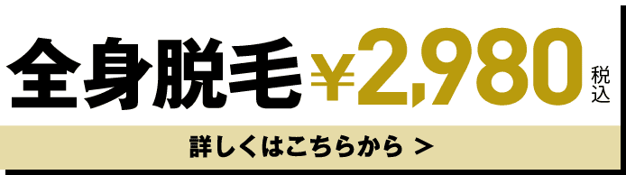 全身脱毛